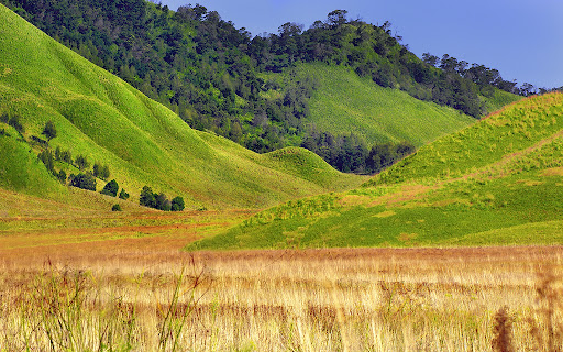 bromo/savana bromo.jpg